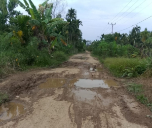 Warga Keluhkan Akses Jalan Menuju Kota Raja Dan Alang Alang Hancur.