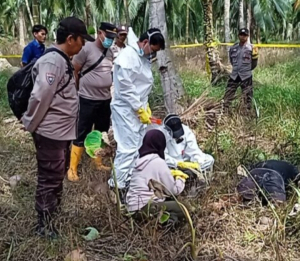 Seorang Petani Bernama Lambak Ditemukan Meninggal dunia Dikebun Kelapa